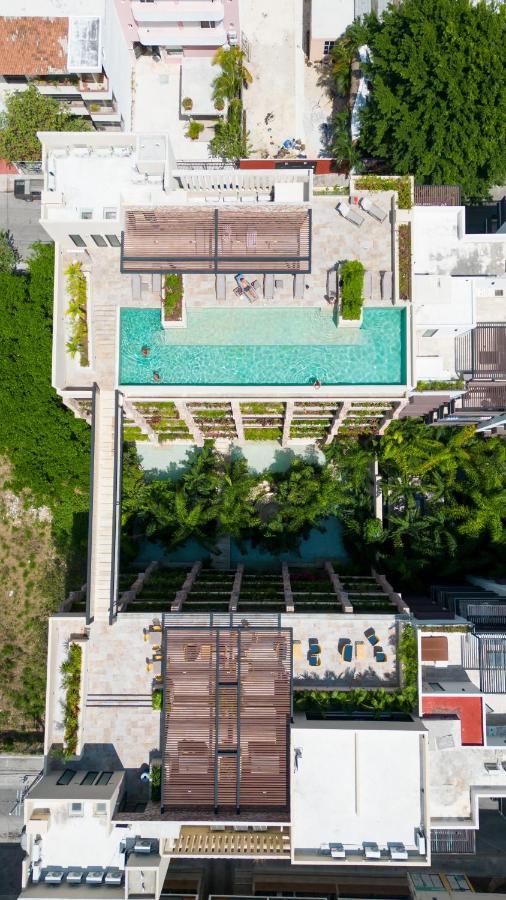 Maravilloso Estudio En Playa Rooftop-Pool-Bbq & Gym By Yeah Плайя-дель-Кармен Екстер'єр фото
